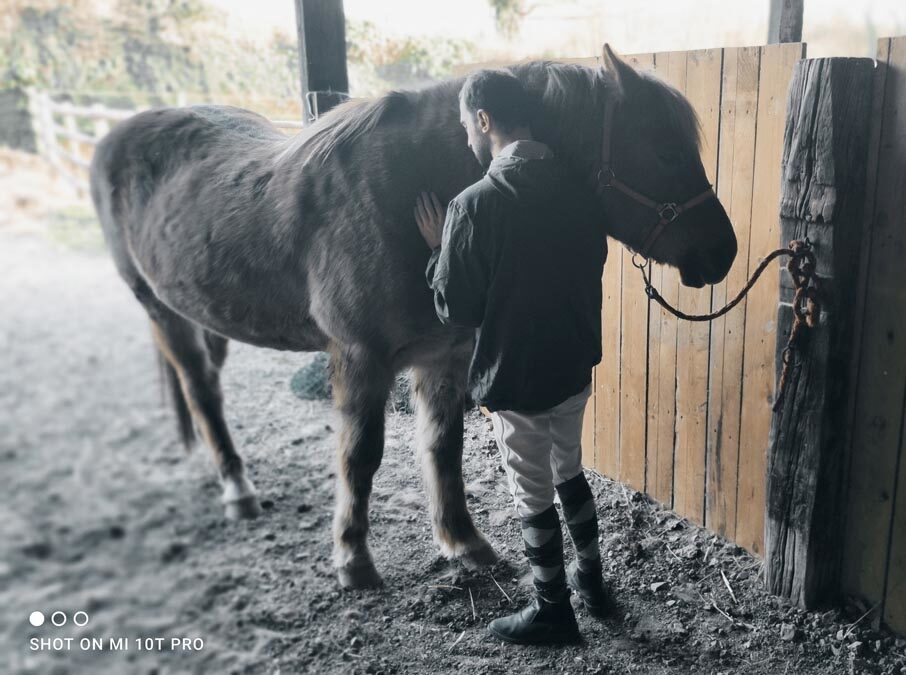 centre-equitherapie-quibou_03