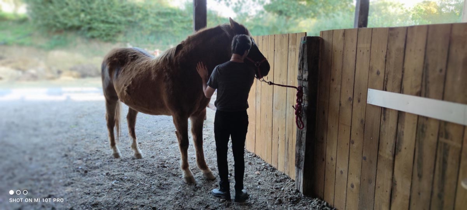 centre-equitherapie-quibou_06